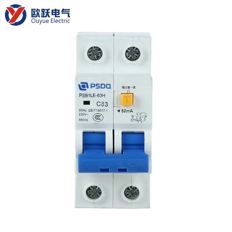 DZ40 2Pole Earth Leakage Circuit Breaker